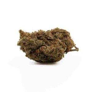 10-OH-HHC - Northern Lights Small Buds